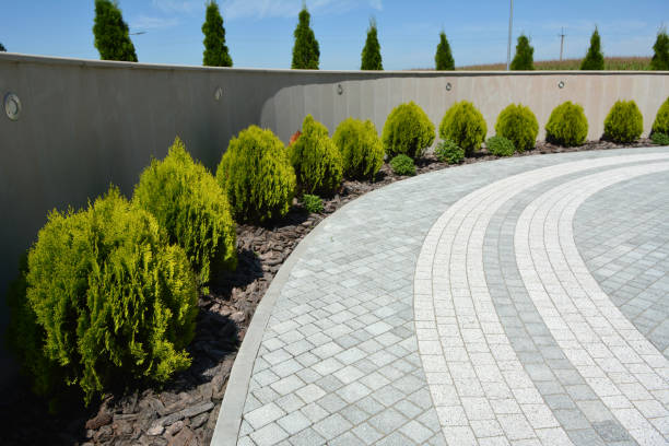 Best Driveway Paving Company  in Warrington, FL